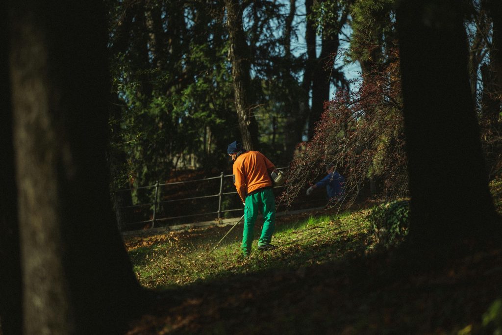 Pros and Cons of Mulching Leaves