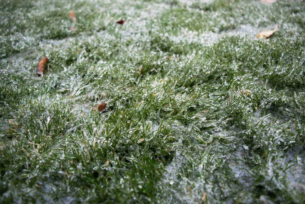 Winter Lawn Care Checklist for North Texas Homeowners