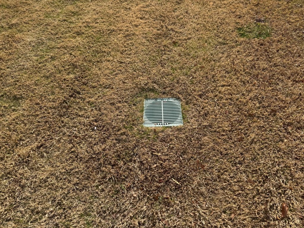 How to Improve Backyard Drainage